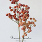 Wild Sea Berry Stem – 19.5"