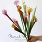 Sculptural Pitcher Plant Stem – 18.1"