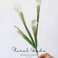 Sculptural Pitcher Plant Stem – 18.1"