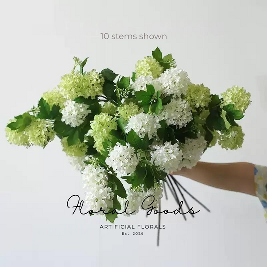Spring Snowball Viburnum – 31”