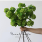 Spring Snowball Viburnum – 31”