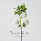 Spring Snowball Viburnum – 31”