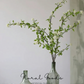 Spiraea Blossom Branch – 43"