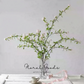 Spiraea Blossom Branch – 43"