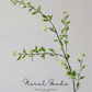 Spiraea Blossom Branch – 43"