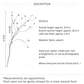 Spring Bud Branch – 37"