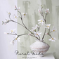 Star Magnolia Branch – 39"