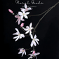 Star Magnolia Branch – 39"
