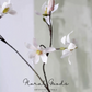 Star Magnolia Branch – 39"