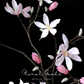 Star Magnolia Branch – 39"