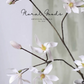 Star Magnolia Branch – 39"