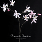 Star Magnolia Branch – 39"