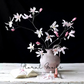 Star Magnolia Branch – 39"