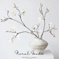 Star Magnolia Branch – 39"