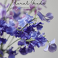 Romantic Sweet Pea Spray – 21"