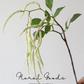 Trailing Amaranthus Stem – 31.5”