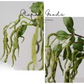 Trailing Amaranthus Stem – 31.5”