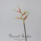 Tropical Heliconia Stem – 32"