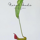 Tropical Pitcher Plant Stem – 29.5"
