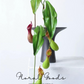 Tropical Pitcher Plant Stem – 29.5"