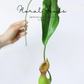 Tropical Pitcher Plant Stem – 29.5"