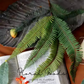 Tropical Fern Stem – 26"