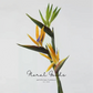 Tropical Paradise Flower Stem – 31.5"
