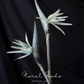 Tropical Paradise Flower Stem – 31.5"