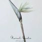 Tropical Paradise Flower Stem – 31.5"