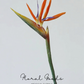 Tropical Paradise Flower Stem – 31.5"