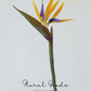 Tropical Paradise Flower Stem – 31.5"
