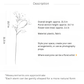Tung Blossom Spray – 31.5"