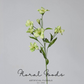 Tung Blossom Spray – 31.5"