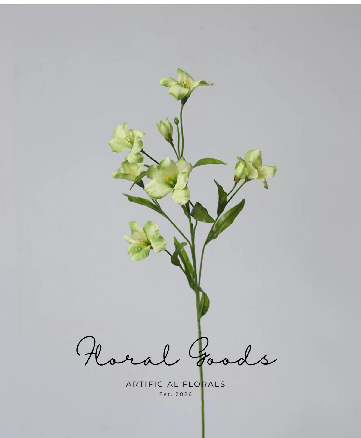 Tung Blossom Spray – 31.5"