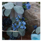 Tung Blossom Spray – 31.5"