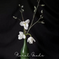 Velvet Magnolia Bud Branch – 36.6"
