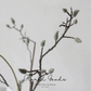 Velvet Magnolia Bud Branch – 36.6"