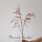 Wispy Plume Branch Stem – 39"