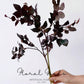 Wild Burgundy Rose Leaf Branch