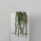 Weeping Berry Branch – 45"