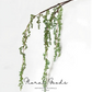 Weeping Berry Branch – 45"