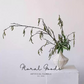 Wild Catkin Branch – 44.5"