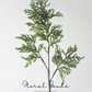Wild Cypress Greenery Branch – 39.4"