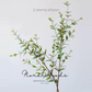 Wild Green Leaf Branch – 32"