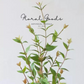 Wild Green Leaf Branch – 32"