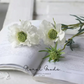 Wild Scabiosa Stem – 27.5"