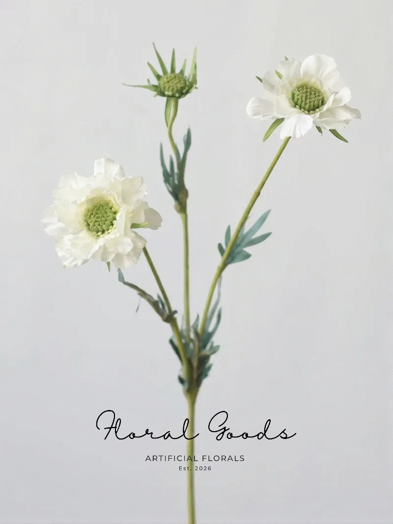 Wild Scabiosa Stem – 27.5"