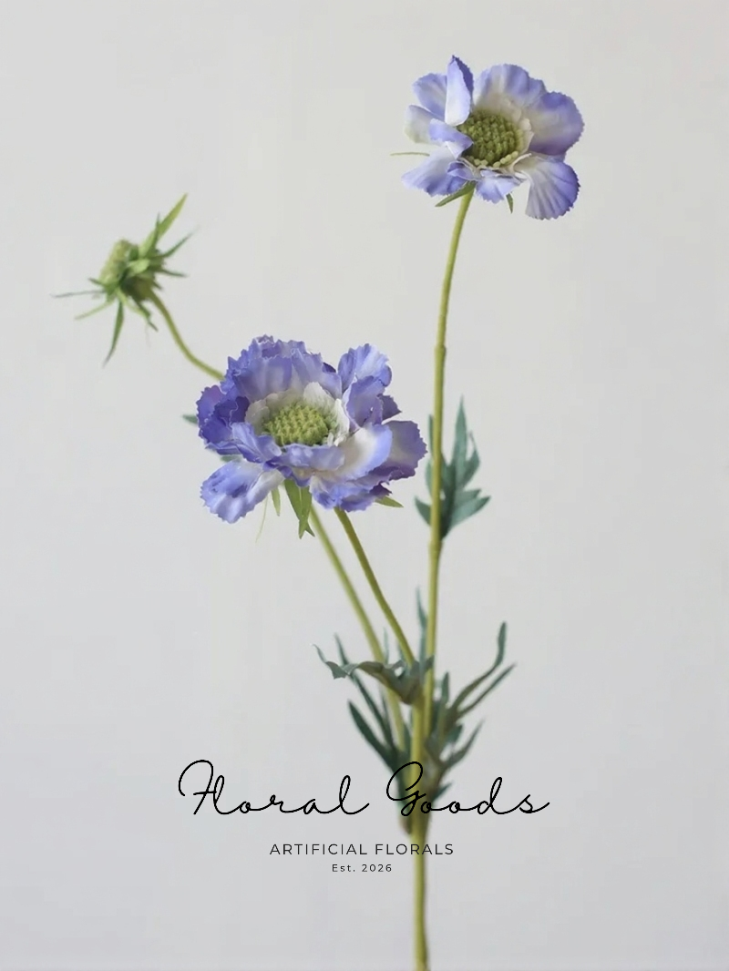 Wild Scabiosa Stem – 27.5"