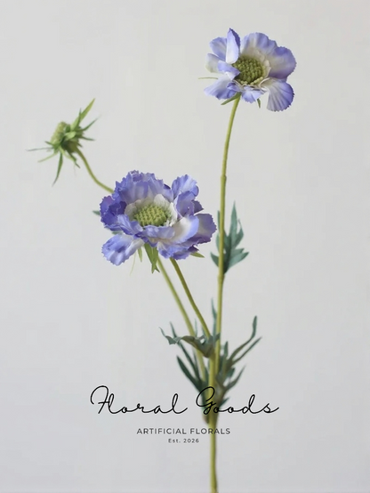 Wild Scabiosa Stem – 27.5"