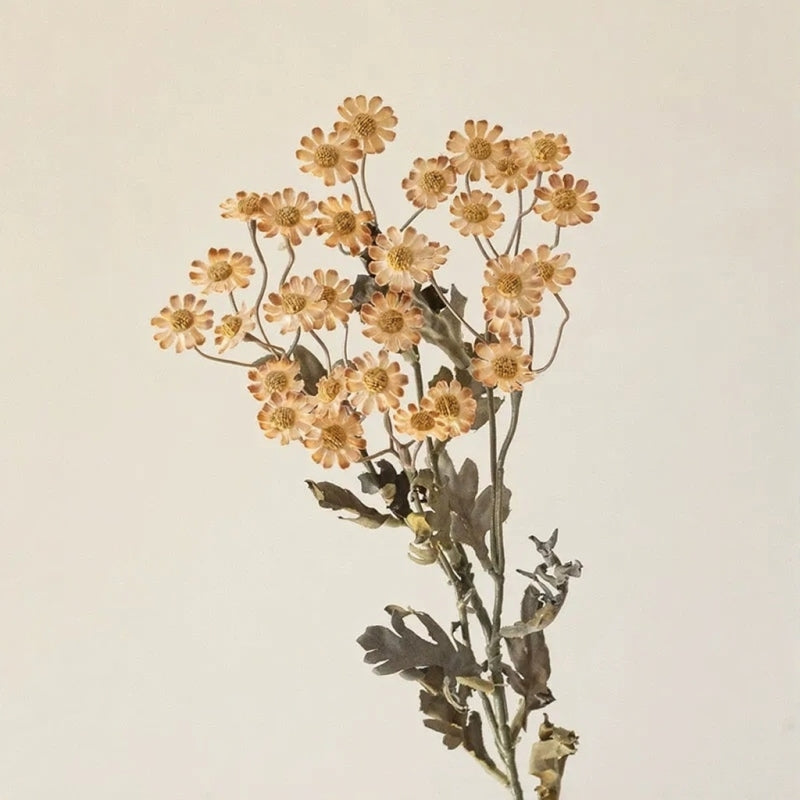 Autumn Daisy Spray – 21"